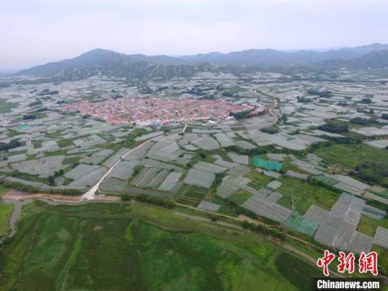 图为初秋的怀来县桑园镇夹河村. 张帆 摄