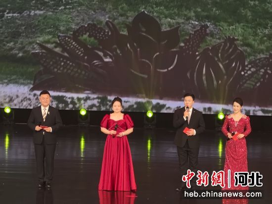 图为鸡泽县春节联欢晚会现场,朗诵《光荣的到达·光辉的启航》。 魏晓 摄 图为鸡泽县春节联欢晚会现场,朗诵《光荣的到达·光辉的启航》。 魏晓 摄