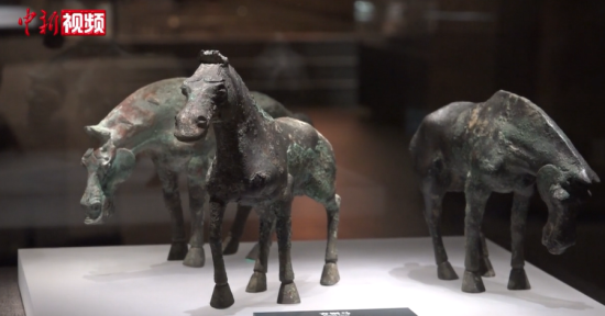 【精彩视频 点击观看】 【精彩视频 点击观看】