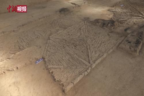 ��������Ƶ ����ۿ���