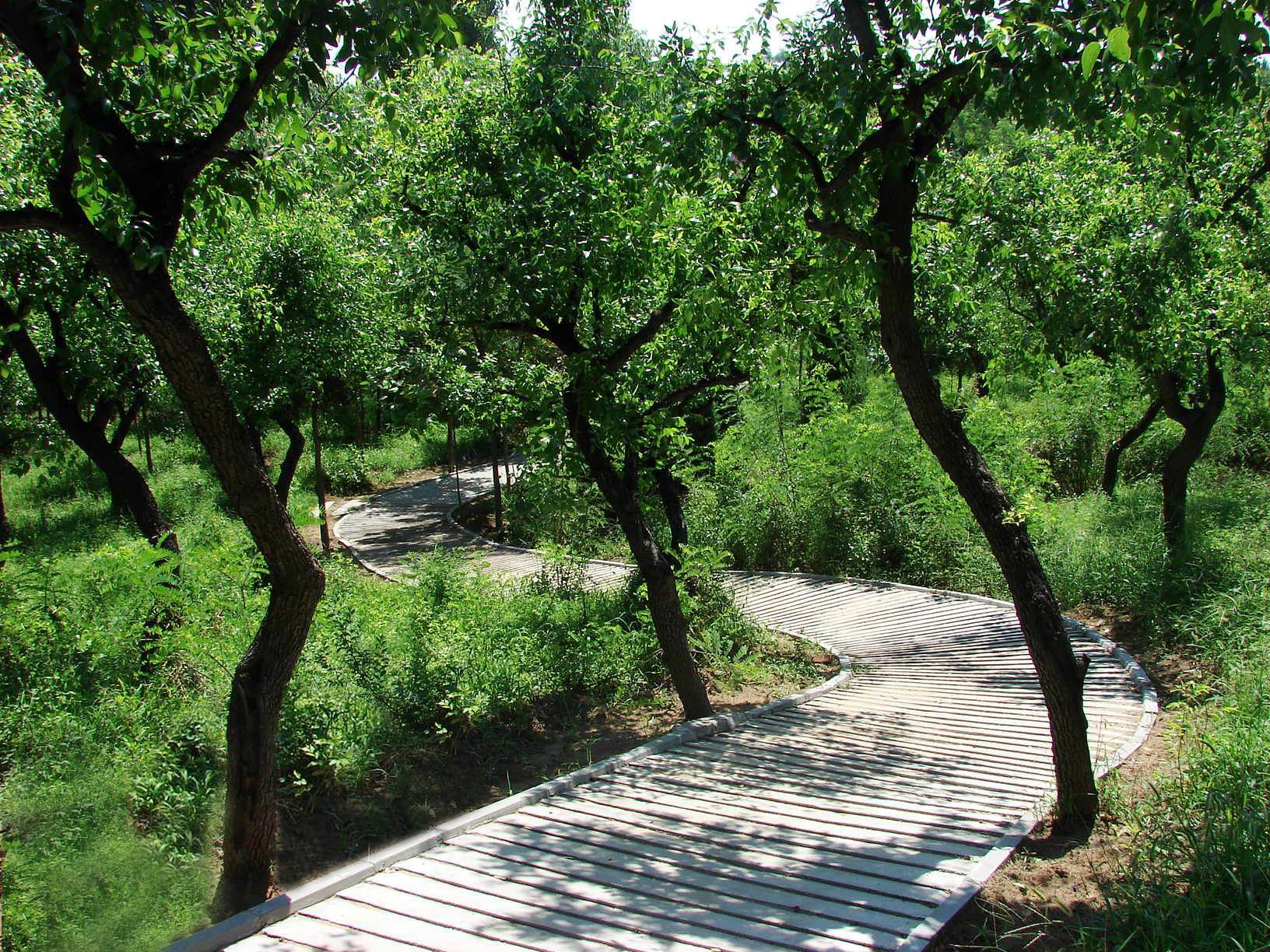 <em>森林公园</em>