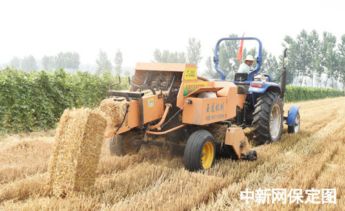 麦秸变身压缩饼干 定州实现好效益+好环境