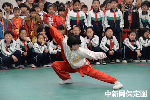 望都200名青少年参加武术锦标赛 彰显血性本色