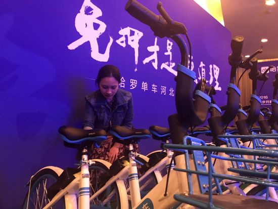 哈罗单车全国免押进驻河北 信用达标可免押金