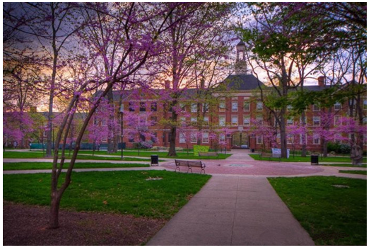 MUM,美国迈阿密大学1+3本科桥梁课程