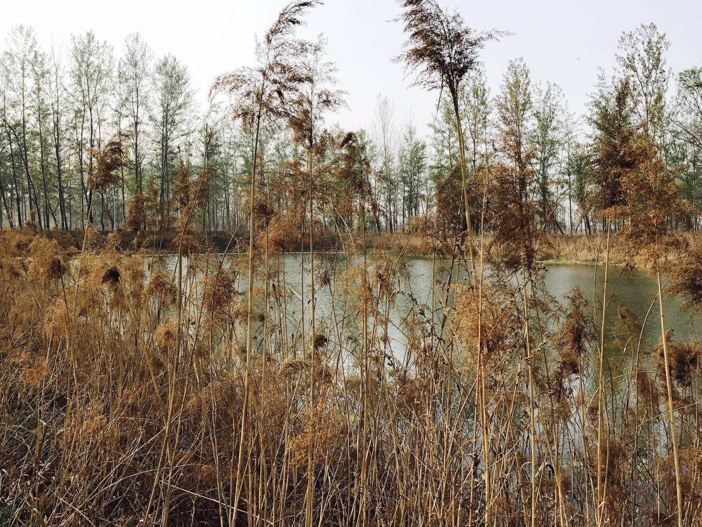 河北平山特色小镇打造研学、康养旅游胜地
