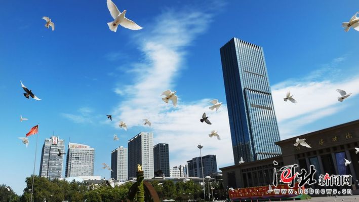前50大城市人口密度表_日语50音图(3)