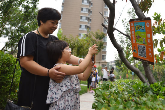 一棵树一本书 安次区建设开放式数字图书馆