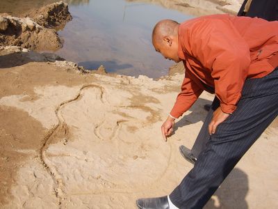 河北邢台:狗头泉复涌 期盼牛城 百泉 盛景(组图
