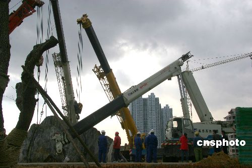 图:百吨吊车吊臂折断 幸无人伤亡