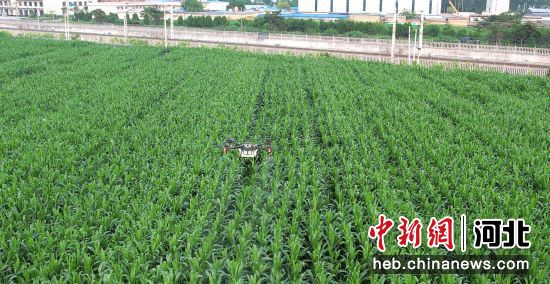 望都天气 U1082P18T5D438033F3585DT20230807100913.jpg