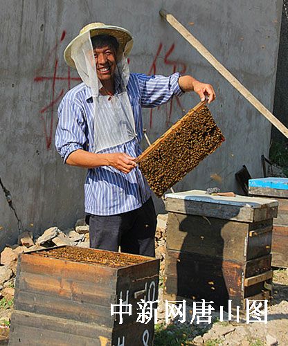 养蜂人_养蜂人年收入