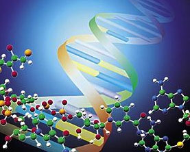 基因有 好 坏 种族无优劣 科学不是 工具 (图)