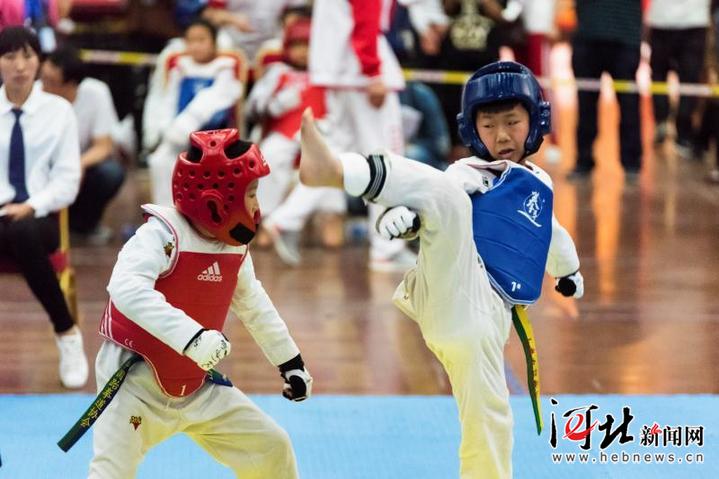 2018年京津冀青少年跆拳道大赛落幕