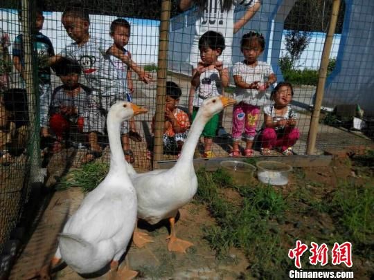 乡村建标准化幼儿园 最美乡村教师胡清汝圆梦