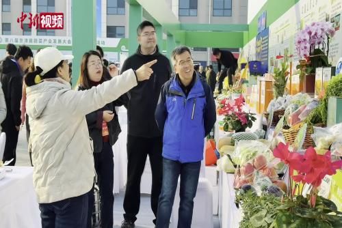 第八届京津冀蔬菜产业发展大会赋能“菜篮子”