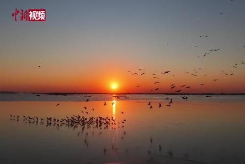 ����������ʪ�ء���ˮ�����������ӭ����