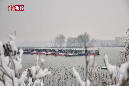 ��ѩ����� �ӱ���ˮ�����紺��̬����