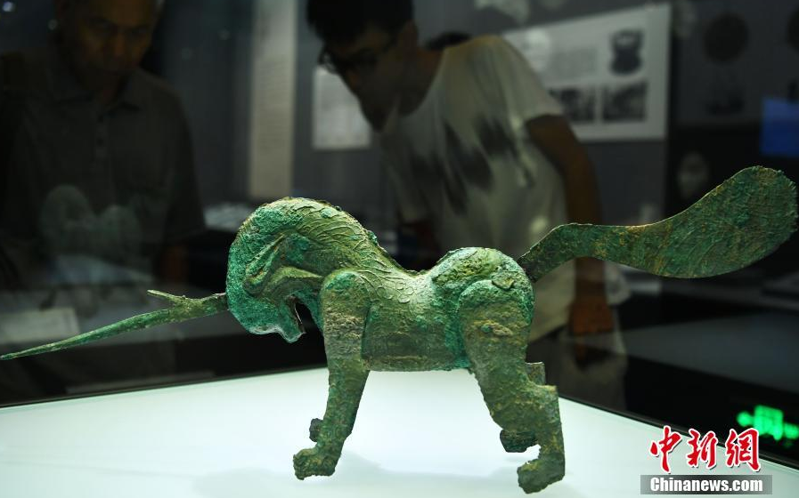 石家庄硬币哥3万枚硬币垒出2米高电视塔