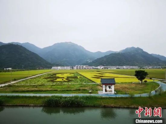 资料图:浙江瑞安曹村镇天井垟风光.范宇斌 摄