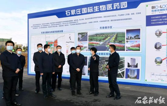 张超超到高新区调研检查生物医药产业发展——中国新闻网河北