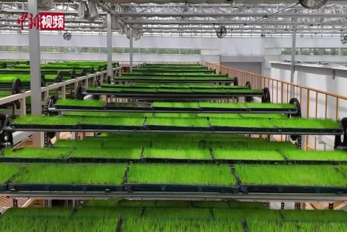 ��������Ƶ ����ۿ���