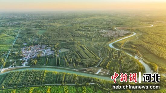 “中国鸭梨之乡”河北泊头依托“梨文化”拓展梨果市场