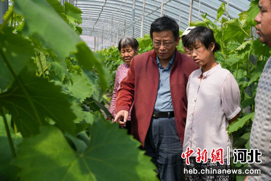 河北任丘开展2024年助残职业技能培训活动