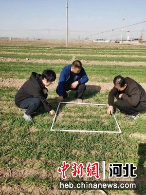 衡水市农业农村局 供图在阜城县,覆膜播种机正在田地里耕作.