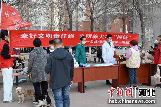 河北任丘开展文明养犬宣传教育活动