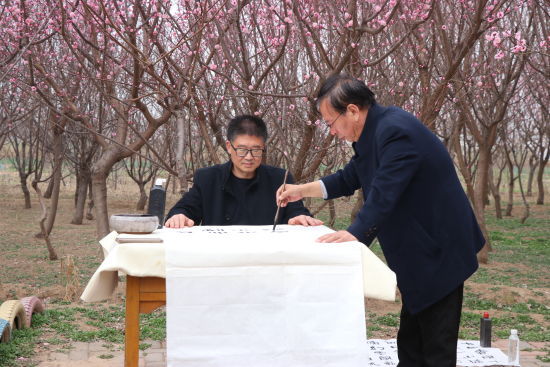 河北安平十万余株梅花盛放迎客来——中国新闻网河北