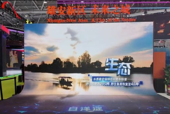河北展区精彩亮相第二十一届文博会