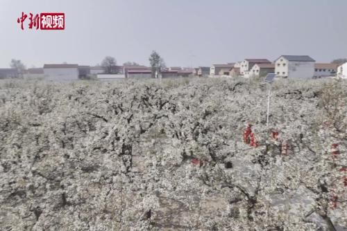 ���ո�κ�� ���й�Ѽ��֮�硱̤���ͻ�����ʱ